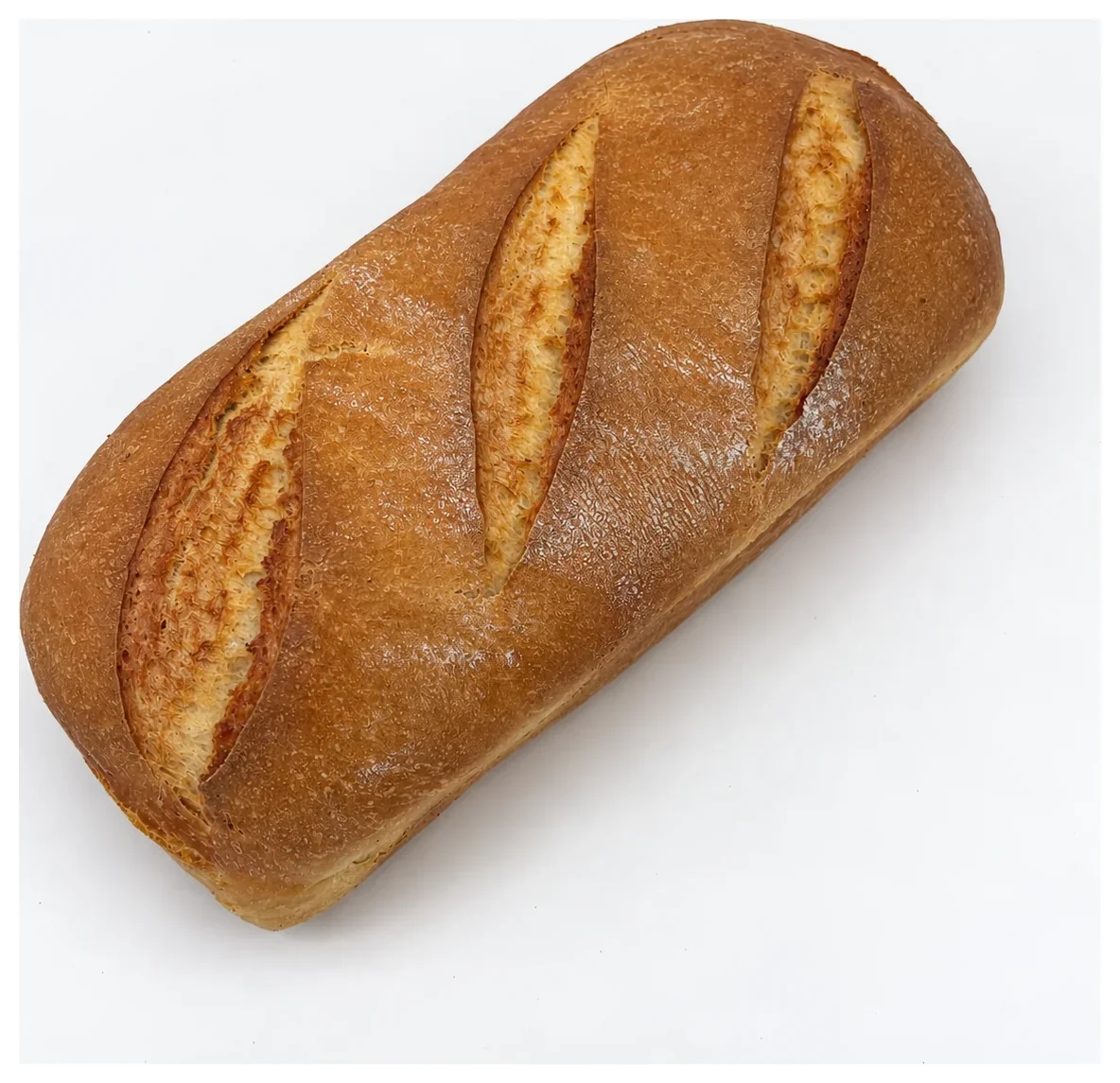 Whole Wheat Sourdough Oval Loaf